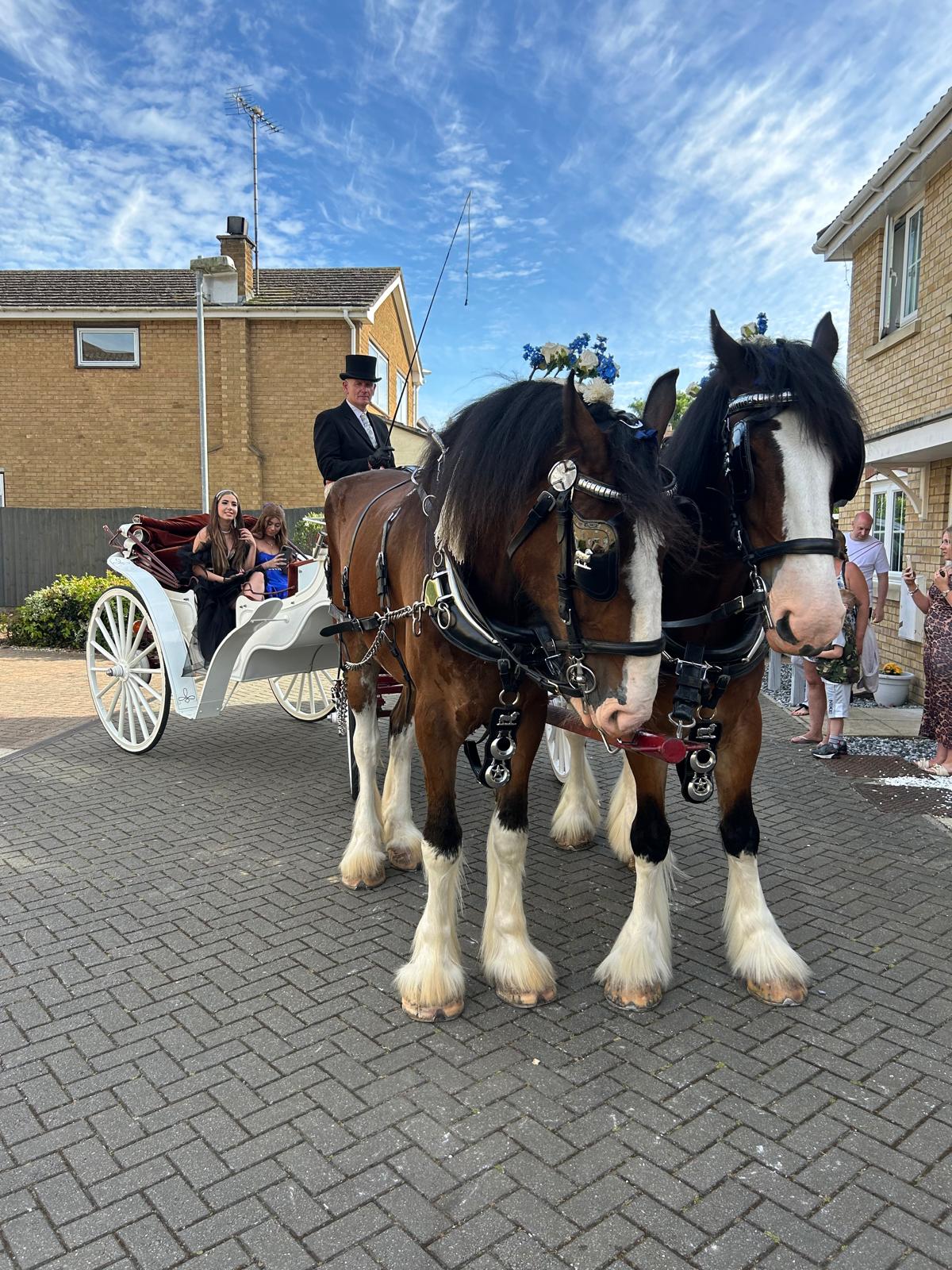 Elegant prom carriage service