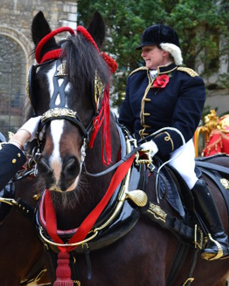 Wedding Carriage Service